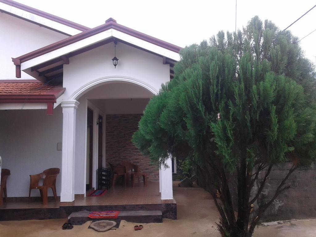 Aurora - Negombo Budget Hostel Exteriér fotografie